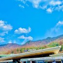 펫스탑 | 춘천방향 휴게소 / 강아지 놀이터, 운동장 펫파크(휴개소) 옐로우 스탑 / 간식,식당 가평맛남샌드 후기