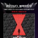 블랙위도우 일간스포츠