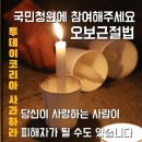 오보코리아 이미지