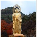 속리산 법주사 이미지