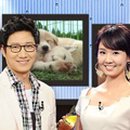 탑데판철판요리