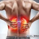 왼쪽 등허리 통증 찌릿 왼쪽 아래 허리통증 이유 이미지
