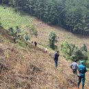 달랏(DA LAT) 이미지