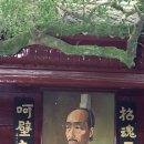 김광언 | 굴원.수로왕.남북단일팀...&#39;한 배를 탄 운명&#39;