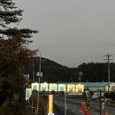 초남선창횟집