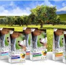 애니티코리아 이미지