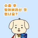 구로세관 이미지