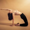 스타 바디핏 이미지