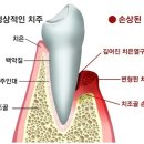 공감백치과 이미지