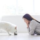하림 약국 이미지