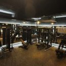 머슬원핏 이미지