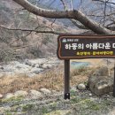 옥선명차