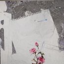 story3170(rose2025.11) 이미지