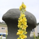 중산리경로당 이미지