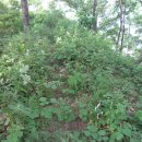 서천 건지산성 이미지