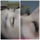 브로우본 | 목동 강서구 속눈썹 브로우본에서 토레이 속눈썹 연장 받고 왔어요~