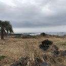 토산2리 이미지