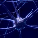 에스시에스 이미지