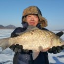 항포낚시터 이미지