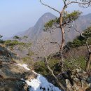 여주-0900 이미지