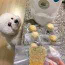 개밥짓는남자 이미지