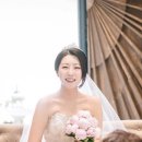 다즐링데이즈