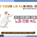 미라클푸드 이미지