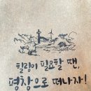 라이프러버 주식회사 네이버블로그