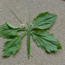 방죽어린이집 이미지