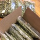 원칸통상 이미지