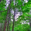 월평약수터 이미지