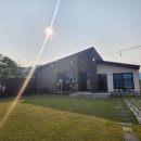 쑤기네 풀 이미지