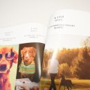 도그앤스토리 이미지