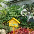 삼일1리 이미지