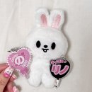 리브가 스테이 | 2023 생카+콘서트 후기