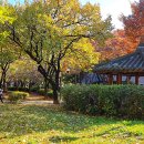 까치공원 바닥분수 이미지