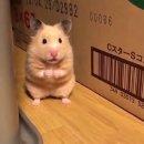 탑티어PC 이미지