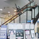 동구청 횡단보도 앞 이미지