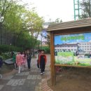 서흥초등학교 이미지