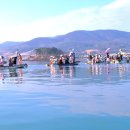 완도 장좌리 당제 및 당굿 이미지