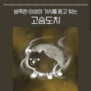 당근김밥 이미지