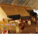 (주)산야 네이버블로그