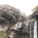 CU인평점 | [제주,서귀포시] 천지연폭포에 다녀왔습니다.^^ [ IGH펜션 후기]