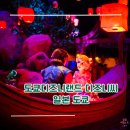 하늘여행행글라이더 | [일본/도쿄] 도쿄 디즈니랜드 & 도쿄 디즈니씨 - 직접 타본 놀이기구 후기와 DPA 추천