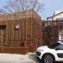 콩반쪽애