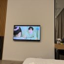 송지호모네블루 네이버블로그