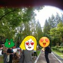 신마산반월시장(반월시장) | 법륜스님과 함께하는 행복학교 마산지역 행복광장 동네한바퀴 후기