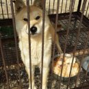 읍내건강원 - 아산시 온주길26번길 24 | 읍내건강원