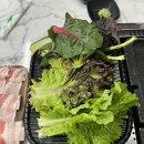 꽃잎 | 의정부 민락동 가족모임 맛집 꽃잎대패 민락점 강추 솔직후기