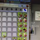 스윗화이트
